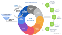 Establish Data Governance