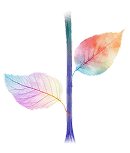 Data Enablement Icon